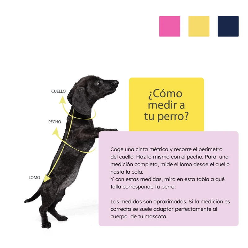 SUDADERA BORREGUILLO PERRO MI&DOG AMARILLA ESTRELLAS
