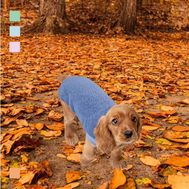 SUDADERA BORREGUILLO PERRO MI&DOG AZUL