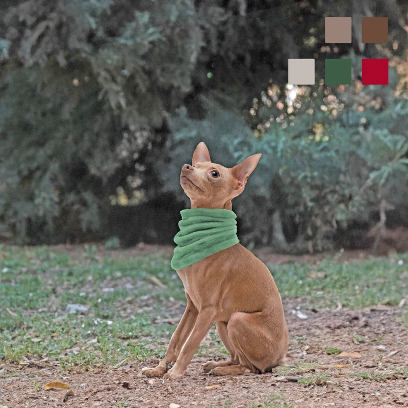 MI&DOG BUFANDA BRAGA VERDE PERRO YAGU