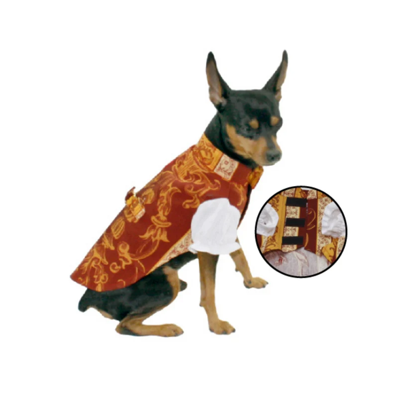 TRAJE FALLAS PERRO YAGU SARAGUEY MI&DOG