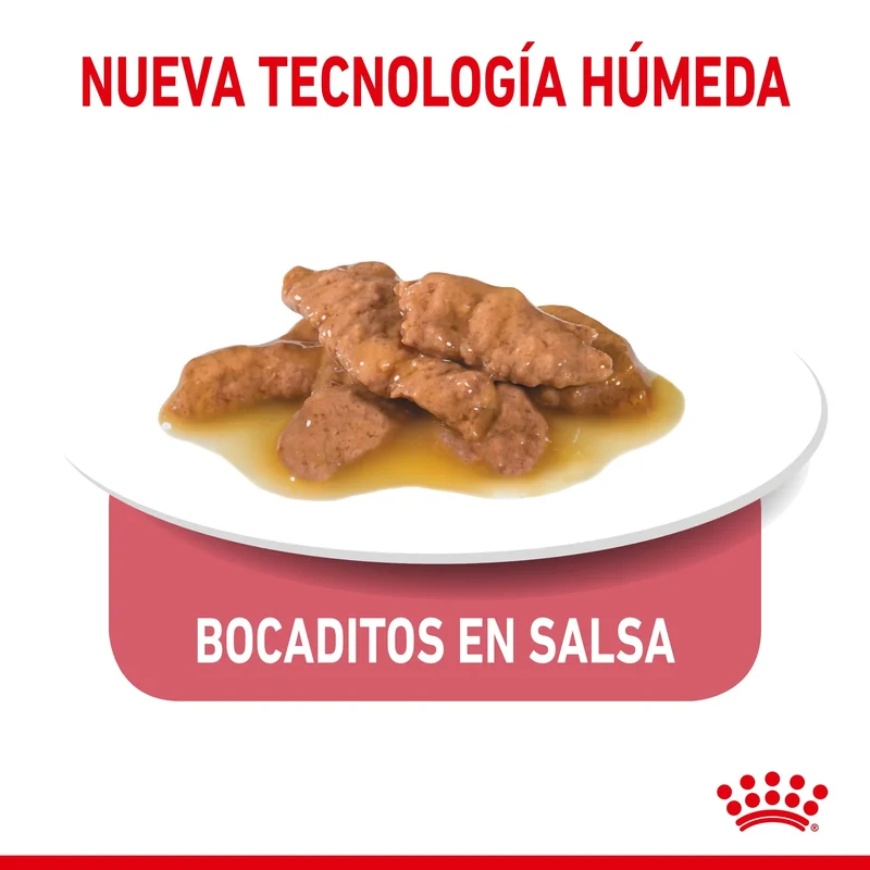 Royal Canin Indoor Sterilized 85 g Comida Húmeda en Salsa para Gatos