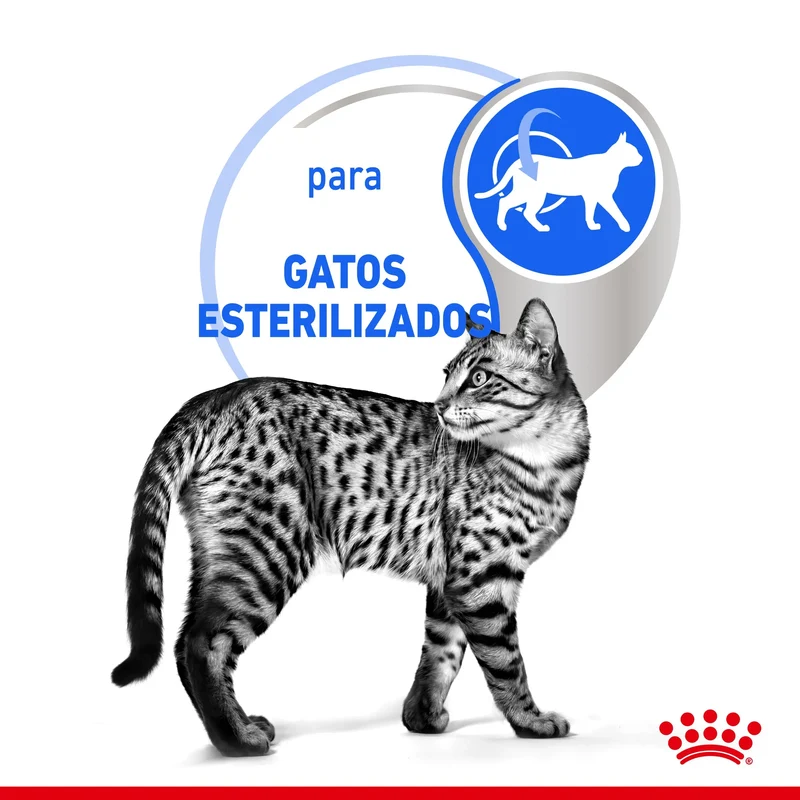 Royal Canin Indoor Sterilized 85 g Comida Húmeda en Salsa para Gatos