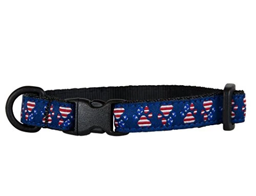 Collar para gato, 8" x 10" por 1/2" de ancho, de la marca RC Pet Products