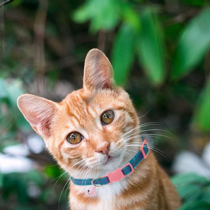 BINGPET - Collares de gato con campana, colores variados, patrones cuadrados, ajustables, paquete de 6 unidades