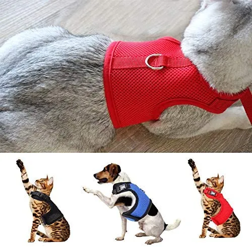 WONDERPUP - Arnés ajustable para gato con correa para caminar, a prueba de escape, malla de aire suave para gatitos, cachorros, conejos, perros pequeños