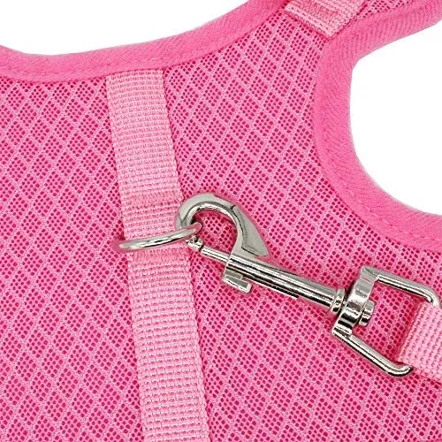 WONDERPUP - Arnés ajustable para gato con correa para caminar, a prueba de escape, malla de aire suave para gatitos, cachorros, conejos, perros pequeños