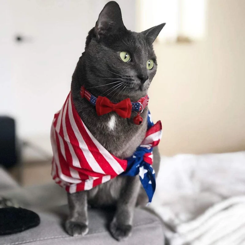 BoomBone - Collar para gato con diseño de bandera americana