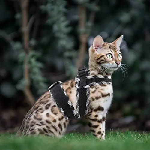 PUPTECK - Arnés para gato y correa para caminar, a prueba de escapes, chaleco arnés de malla con encaje a cuadros, correa ajustable en el pecho con 2 anillos de metal en D para gatitos, cachorros y mascotas pequeñas