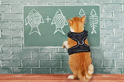 Mudinpet Arnés para gato, a prueba de escape, arnés de malla para chaleco de gato, ajustable, reflectante, cómodo, arnés de pecho suave para gato
