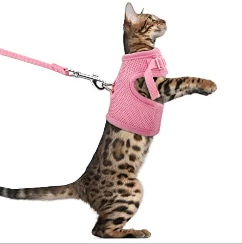 The Creativehome Arnés para cachorro de gato con correa, a prueba de escape, ajustable, transpirable, suave malla de aire, arnés para caminar al aire libre