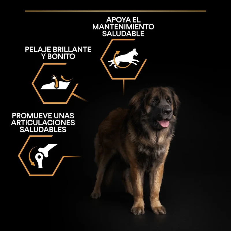 Pro Plan Dog Large Robust Adult Pollo 14 kg+2,5 kg gratis
