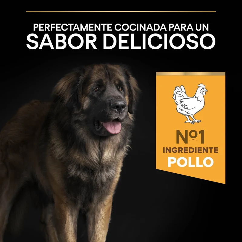 Pro Plan Dog Large Robust Adult Pollo 14 kg+2,5 kg gratis