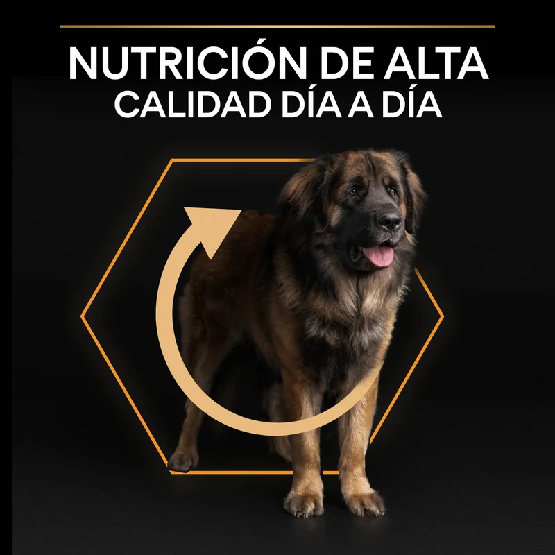 Pro Plan Dog Large Robust Adult Pollo 14 kg+2,5 kg gratis