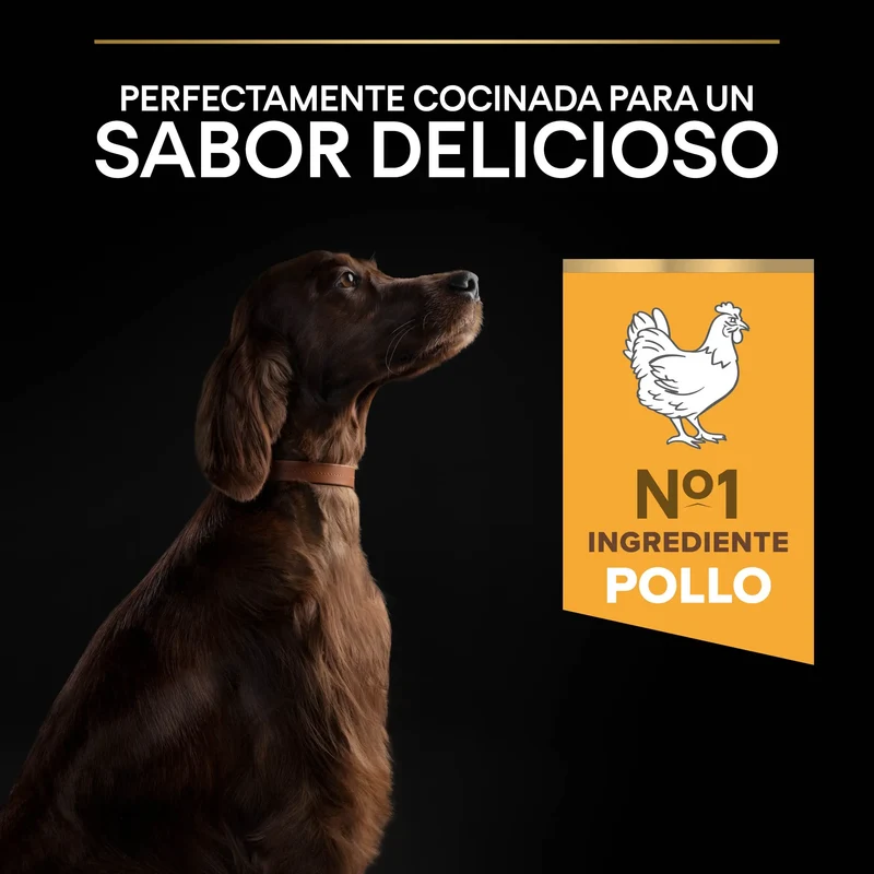 Pro Plan Dog Large Athletic Adult Pollo 14 kg+2,5 kg gratis