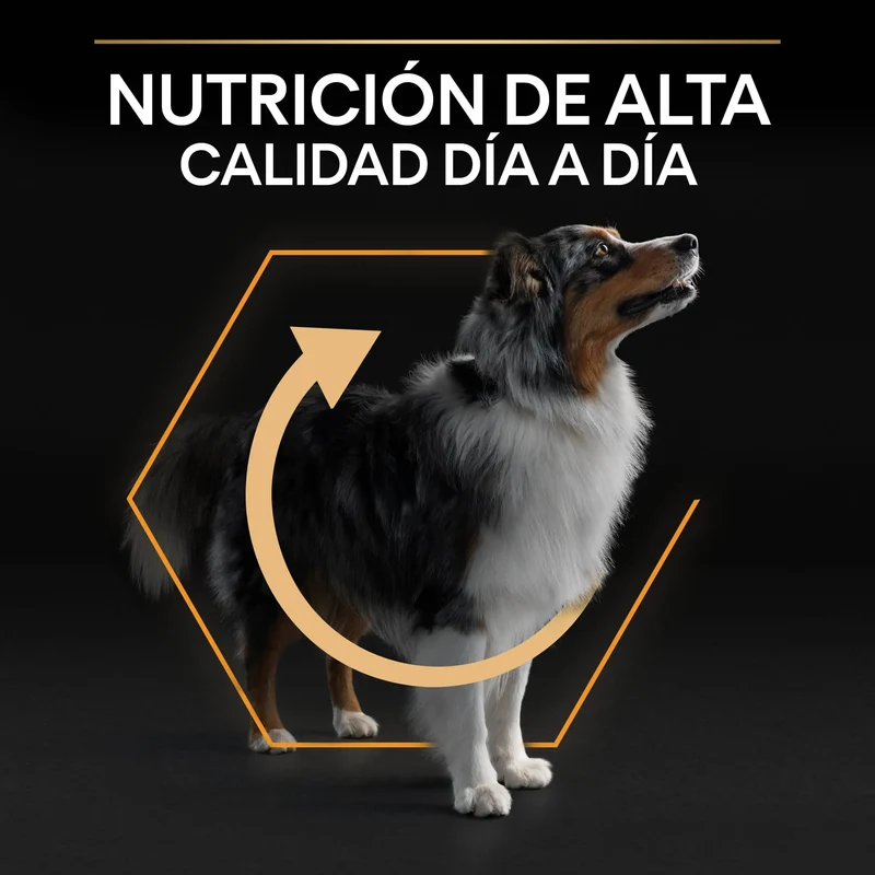 Pro Plan Dog Medium Adult Pollo 14 kg+2,5 kg gratis