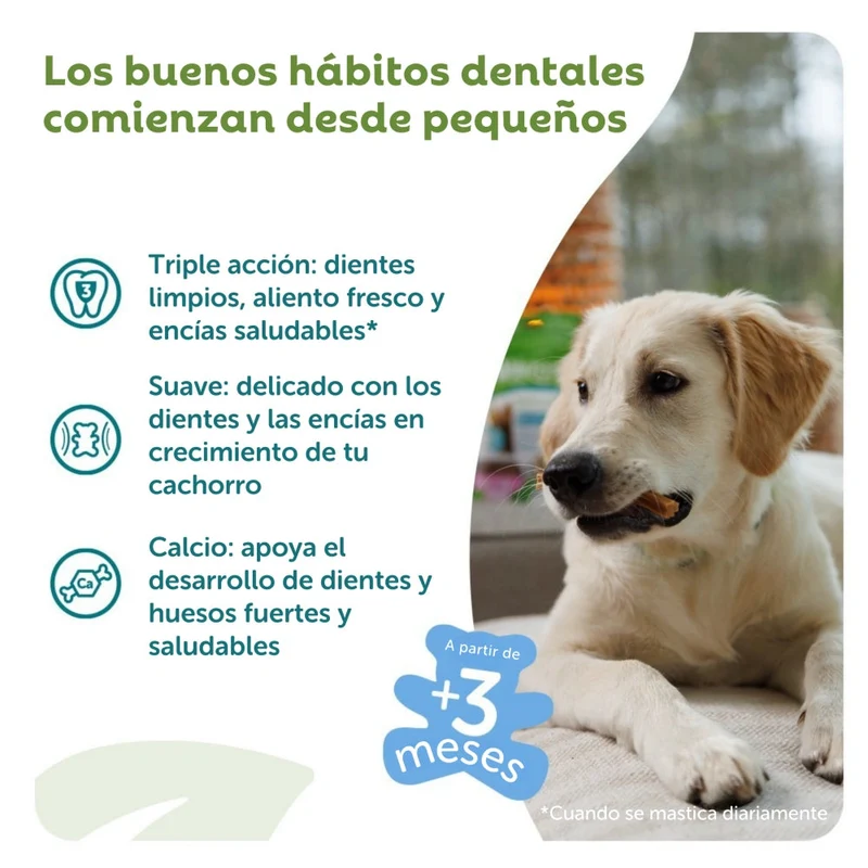 Whimzees Snacks Dentales para Cachorros Puppy Medianos/Grandes - 14 unidades