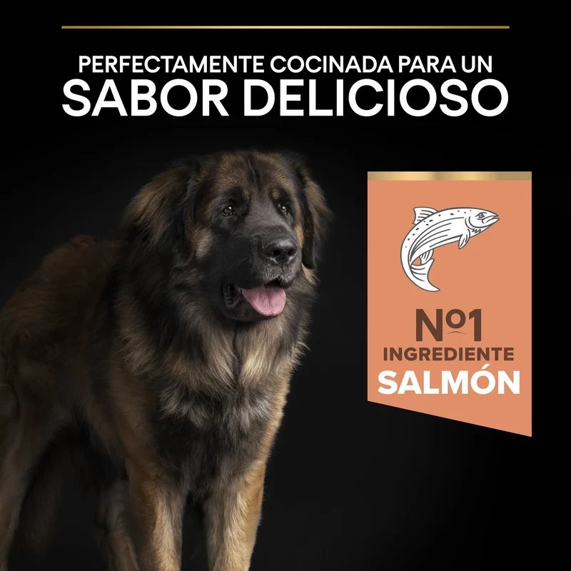 Pro Plan Dog Large Robust Adult Skin Salmón 14 kg