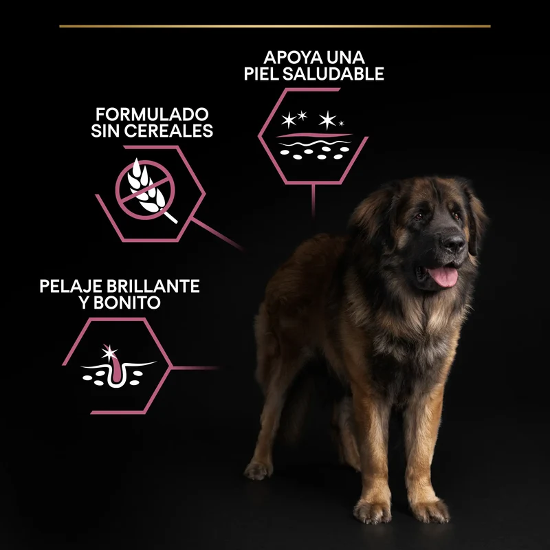 Pro Plan Dog Large Robust Adult Skin Salmón 14 kg