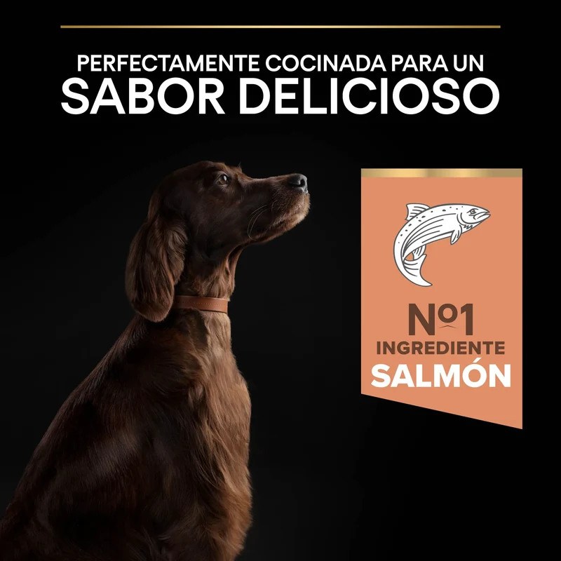 Pro Plan Dog Large Athletic Adult Skin Salmón 14 kg