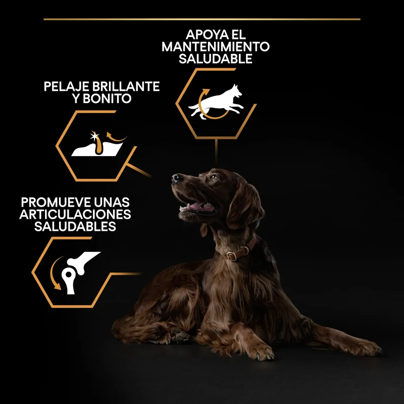 Pro Plan Dog Large Athletic Adult Pollo 14 kg