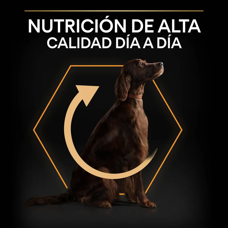 Pro Plan Dog Large Athletic Adult Pollo 14 kg