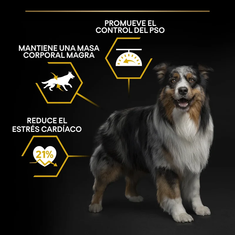 Pro Plan Dog AllSize Adult Light Sterilized Pollo 14 kg