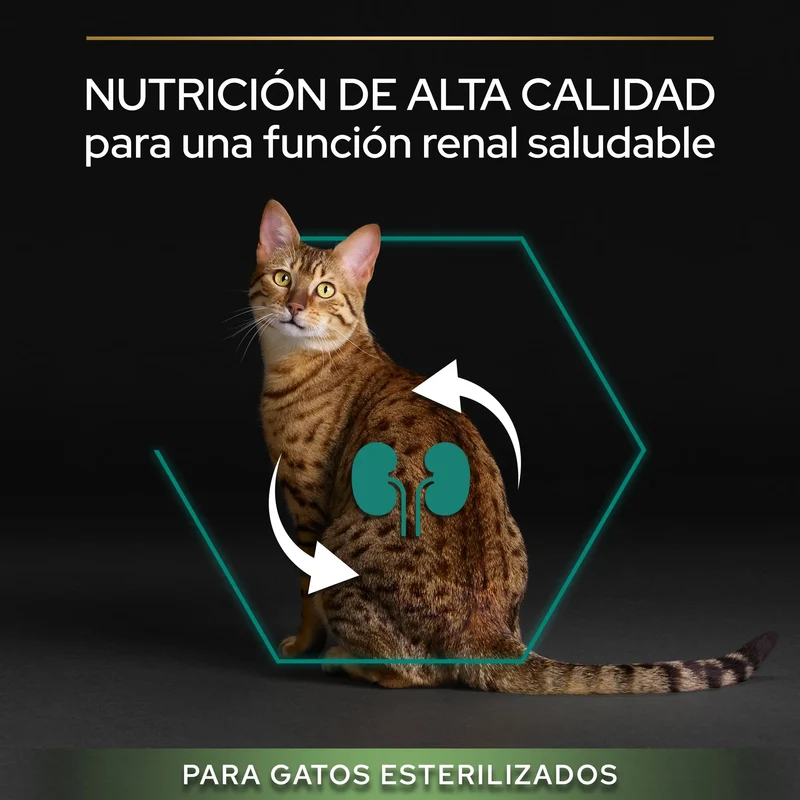 Pro Plan Cat Sterilized Adult Renal+ Pavo 10 kg