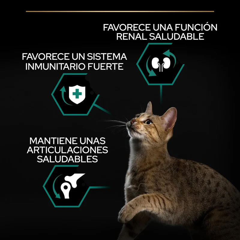 Pro Plan Cat Adult Renal+ Pollo 10 kg