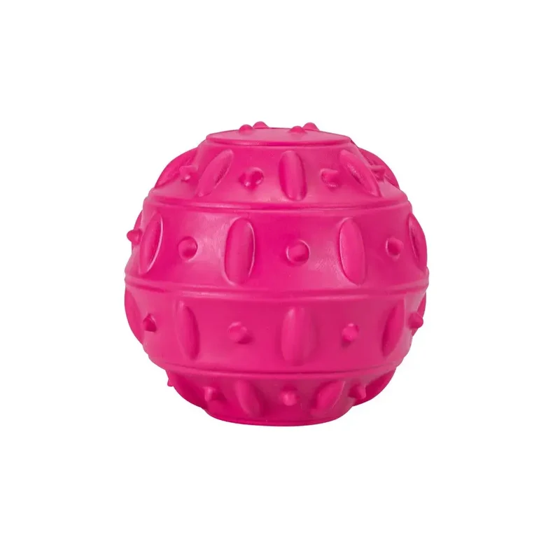 Juguete Perro Pelota Snack Teak