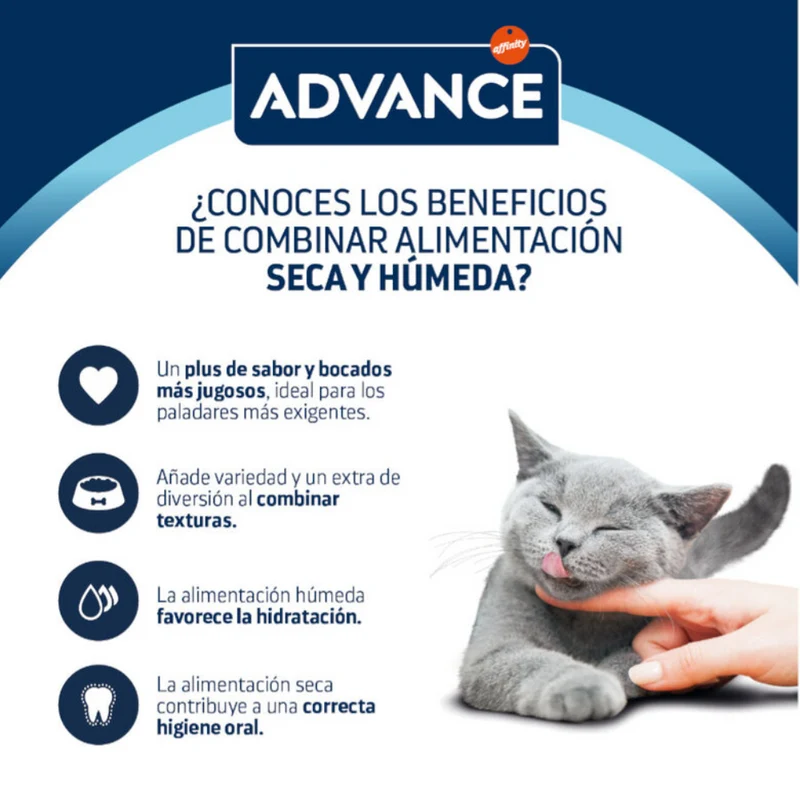 Advance Cat Bocaditos en Salsa para Gatos Adultos con Pollo - 85 g