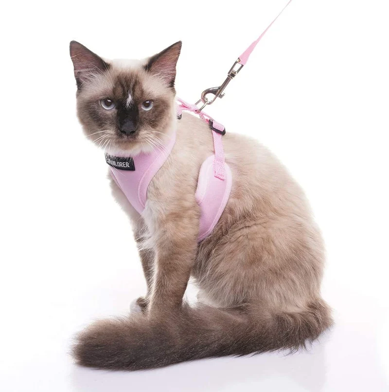 Arnés para gatos a prueba de fugas con correa EXPAWLORER - Arnés de seguridad para gatos y perros pequeños para caminar al aire libre