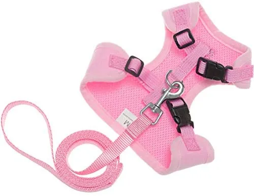 Arnés para gatos a prueba de fugas con correa EXPAWLORER - Arnés de seguridad para gatos y perros pequeños para caminar al aire libre
