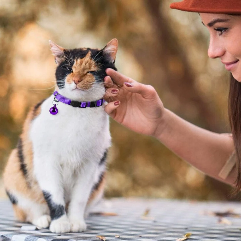 Numal cachorro ID collares para perros y gatos juego de, 12 piezas hecho de Super suave de nylon y cierre de seguridad Ideal para forro polar Identificación con tabla de registros