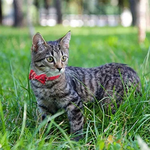 OFPUPPY - Juego de 2 collares para gatito con diseño de pajarita con campana y collar a cuadros para cachorro gatito ajustable de 7.8 a 10.2 pulgadas