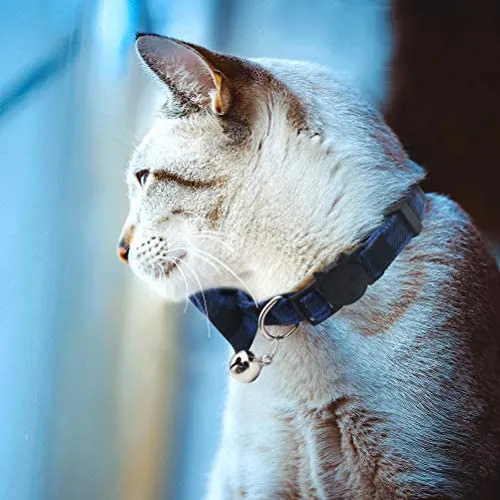 OFPUPPY - Juego de 2 collares para gatito con diseño de pajarita con campana y collar a cuadros para cachorro gatito ajustable de 7.8 a 10.2 pulgadas
