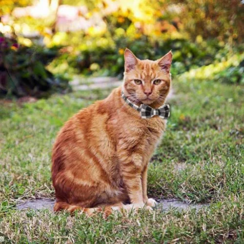 OFPUPPY - Juego de 2 collares para gatito con diseño de pajarita con campana y collar a cuadros para cachorro gatito ajustable de 7.8 a 10.2 pulgadas
