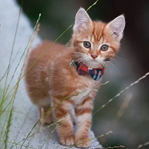 OFPUPPY - Juego de 2 collares para gatito con diseño de pajarita con campana y collar a cuadros para cachorro gatito ajustable de 7.8 a 10.2 pulgadas