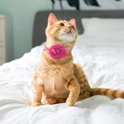 PUPTECK - Collar de gato con accesorios de flores extraíbles y campana – ajustable, desprendimiento