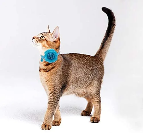 PUPTECK - Collar de gato con accesorios de flores extraíbles y campana – ajustable, desprendimiento