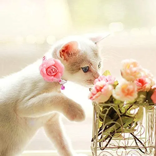PUPTECK - Collar de gato con accesorios de flores extraíbles y campana – ajustable, desprendimiento