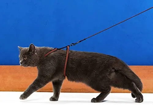 Niteangel - Juego de arnés y correa ajustables para gato (2 unidades)