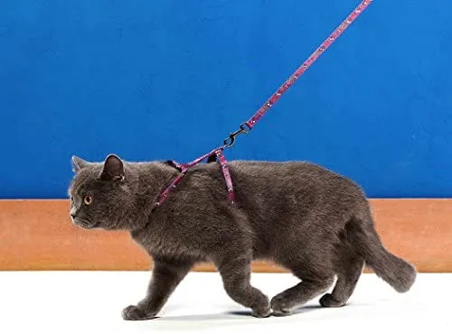 Niteangel - Juego de arnés y correa ajustables para gato (2 unidades)