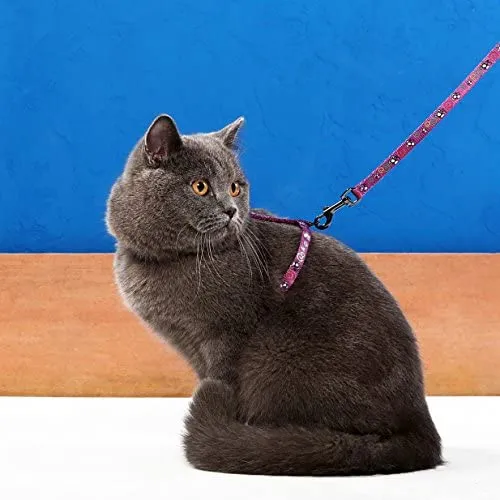 Niteangel - Juego de arnés y correa ajustables para gato (2 unidades)