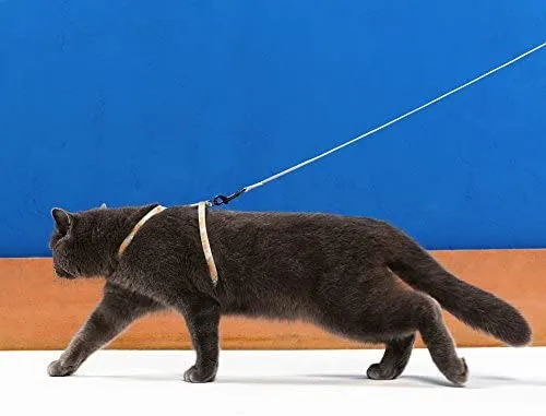 Niteangel - Juego de arnés y correa ajustables para gato (2 unidades)