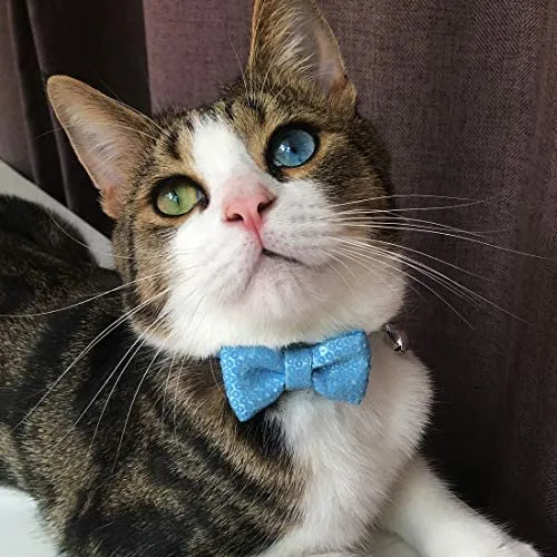 Collar de gato azuza con campana, ajustable para gato con pajarita, collares de seguridad para gatos, paquete de 2