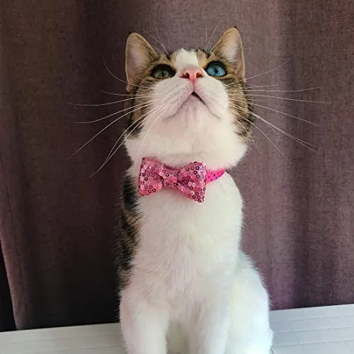 Collar de gato azuza con campana, ajustable para gato con pajarita, collares de seguridad para gatos, paquete de 2