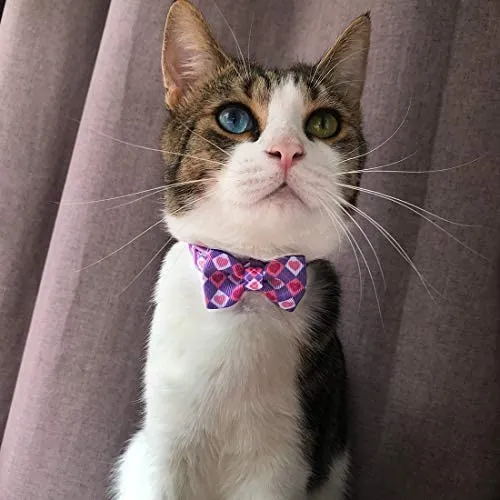 Collar de gato azuza con campana, ajustable para gato con pajarita, collares de seguridad para gatos, paquete de 2