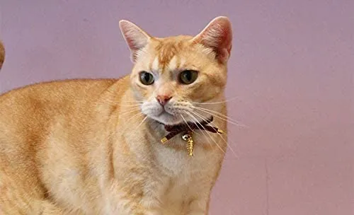 PetSoKoo - Collar para gato con campana Elegante lazo con colgante de hueso de pez. Rotura de seguridad, peso ligero, suave, duradero.