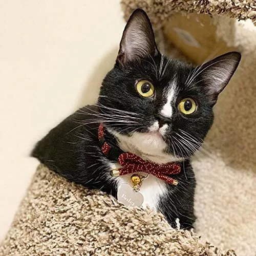PetSoKoo - Collar para gato con campana Elegante lazo con colgante de hueso de pez. Rotura de seguridad, peso ligero, suave, duradero.