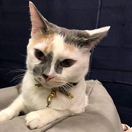 PetSoKoo - Collar para gato con campana Elegante lazo con colgante de hueso de pez. Rotura de seguridad, peso ligero, suave, duradero.